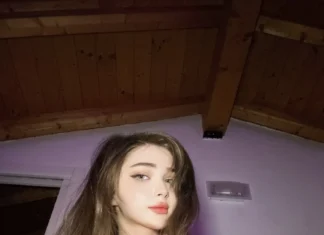 карина стримерша